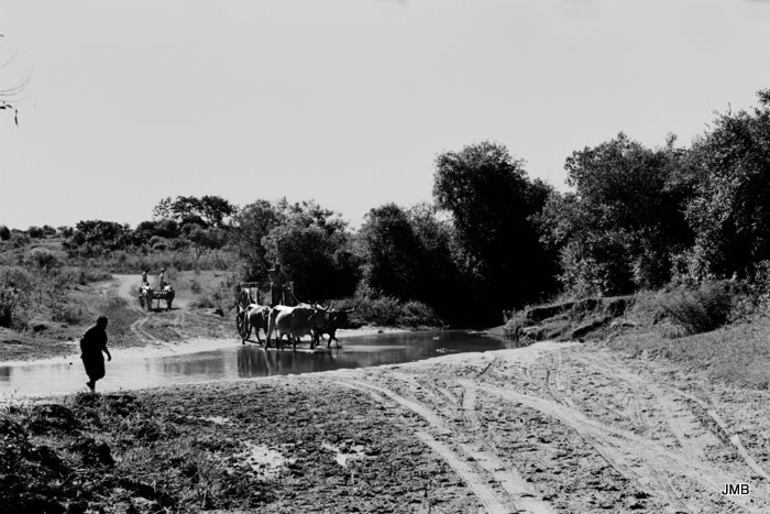 AÑO 1976 - BLANCO Y NEGRO - VIDA CAMPESINA EN PARAGUAY (JOSÉ MARÍA BLANCH)